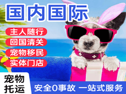 海北祁连机场快递国际宠物托运 【国